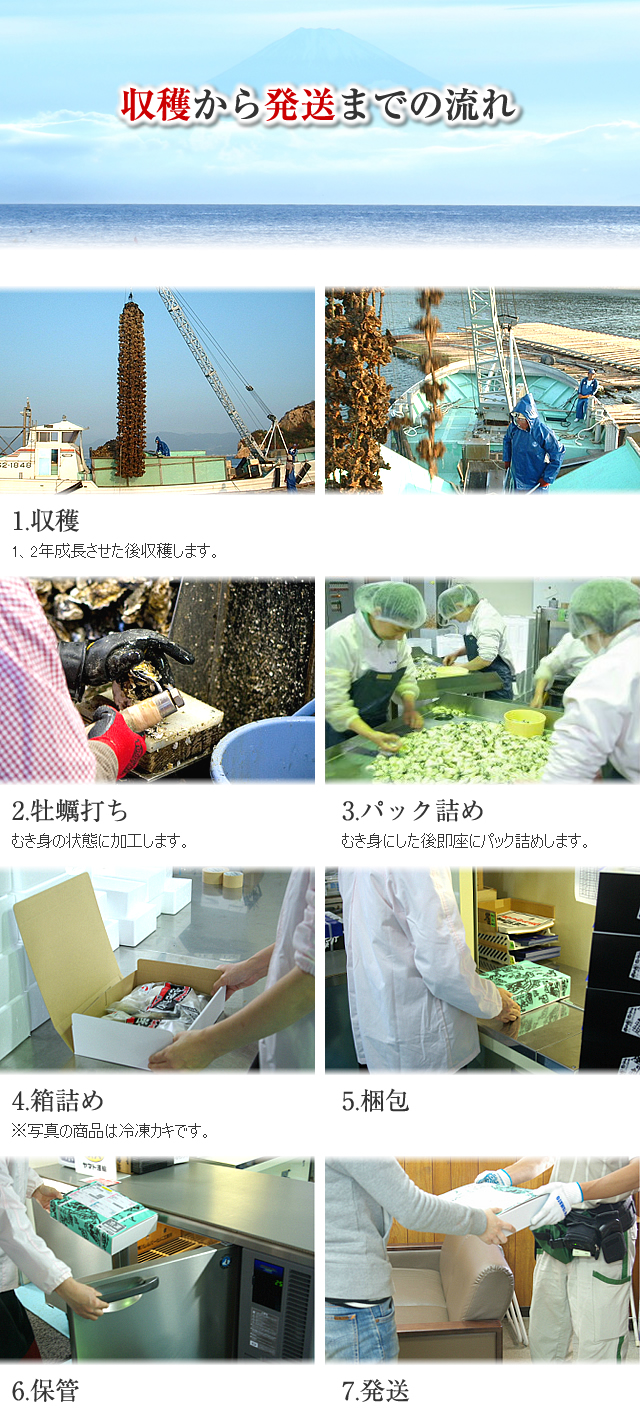 生牡蠣 むき身 加熱用 かき料理のレシピ 【広島県産】 瀬戸内海で育った新鮮な牡蠣!