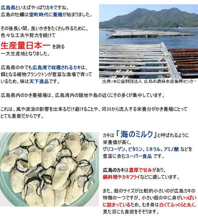 生牡蠣 むき身 加熱用 かき料理のレシピ 【広島県産】 瀬戸内海で育った新鮮な牡蠣!